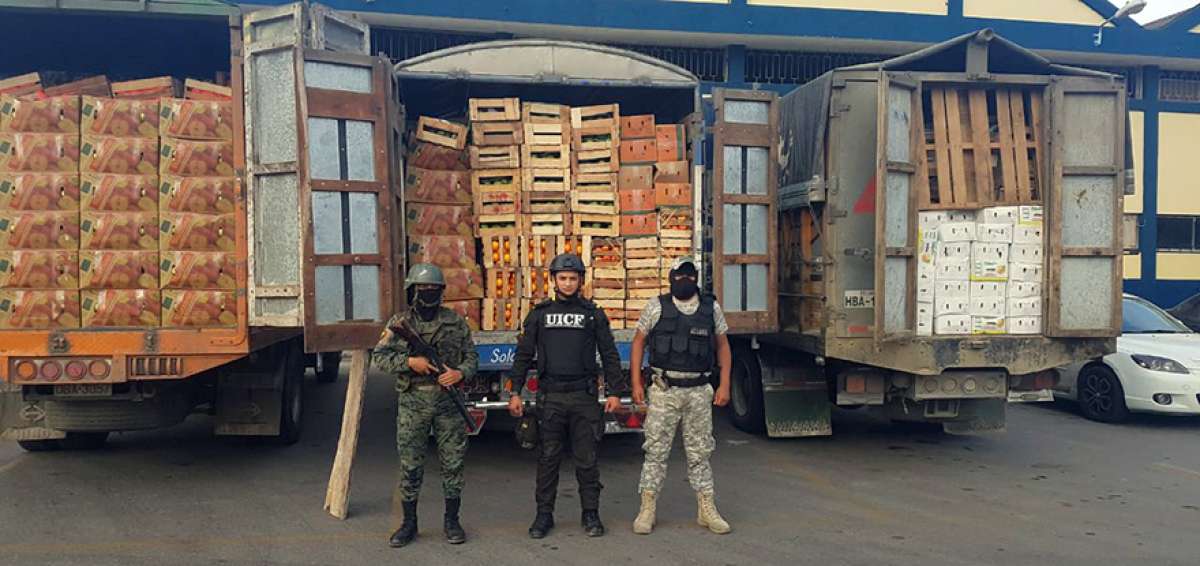 En operativos ejecutados por la Senae, se aprehendieron 2.251 cartones de frutas y 109 sacos de cebolla y lim&oacute;n.