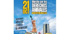Grupos animalistas convocan en Guayaquil a gran marcha por el planeta