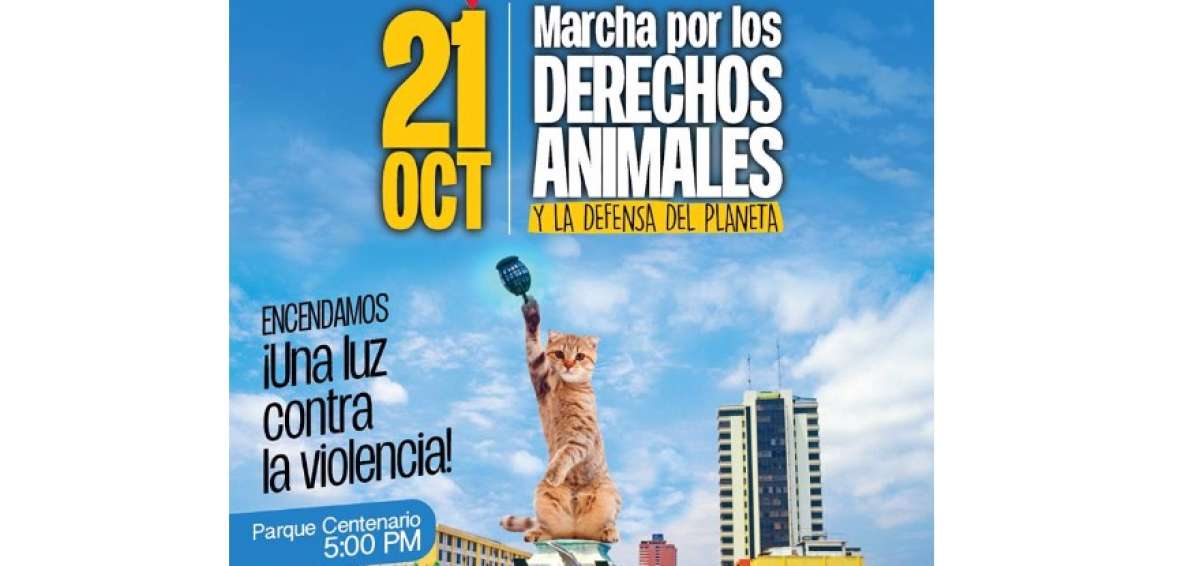 Grupos animalistas convocan en Guayaquil a gran marcha por el planeta