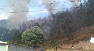 Foto: Twitter Ministerio del Ambiente