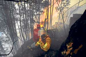 Los incendios forestales constituyen uno de los elementos de riesgo a los que el territorio del Distrito se encuentra m&aacute;s expuesto. Foto:  Archivo El Tel&eacute;grafo