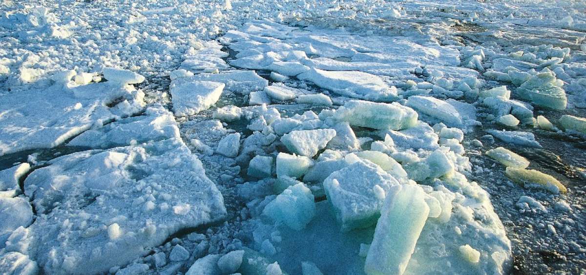 &Aacute;rtico alcanz&oacute; a&ntilde;o r&eacute;cord de calor desde que hay registros