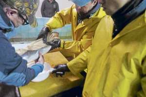 T&eacute;cnicos de 5 provincias se especializan en el manejo de alevines