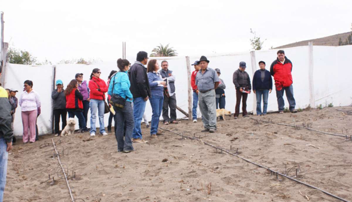 En varias zonas rurales, el proyecto consiste en mejorar la tierra con sistemas de riego tecnificados. Foto: Cortes&iacute;a