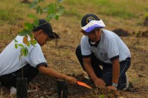 El MAE es parte de la iniciativa, con los boys scouts, para plantar especies nativas de manera simult&aacute;nea en 6 ciudades. Foto: archivo El Tel&eacute;grafo