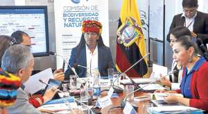 La Comisi&oacute;n de Biodiversidad de la Asamblea Nacional es presidida por Carlos Viteri Gualinga. Foto: Cortes&iacute;a