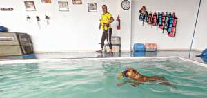 Para las organizaciones de protecci&oacute;n animal, las nuevas legislaciones promueven una cultura de respeto hacia la vida de las mascotas. Fotos: John Guevara/ El Tel&eacute;grafo