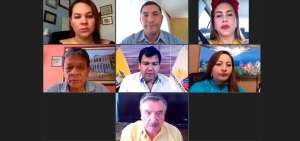 El CAL durante la reuni&oacute;n virtual.