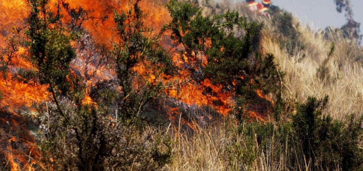 El Oro y Azuay, afectadas por incendios