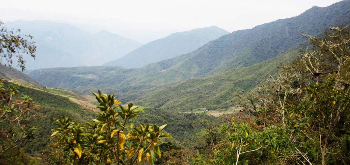 El sector de Yunguilla (foto) y la Reserva Geobot&aacute;nica del Pululahua forman parte de la zona natural conocida como bosque nublado de Quito.