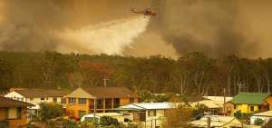 Por las altas temperaturas en Europa y los incendios forestales en Siberia, Australia o California, la poblaci&oacute;n sufri&oacute; m&aacute;s asma e infecciones respiratorias.