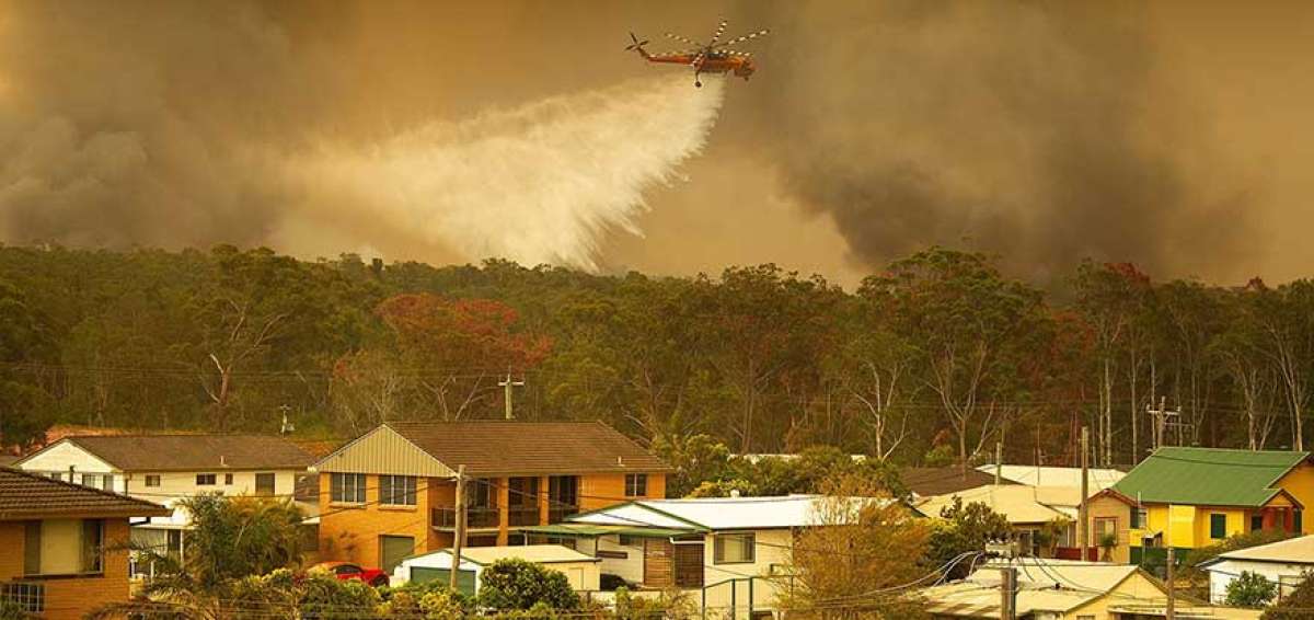Por las altas temperaturas en Europa y los incendios forestales en Siberia, Australia o California, la poblaci&oacute;n sufri&oacute; m&aacute;s asma e infecciones respiratorias.