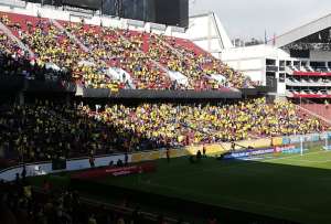 Los hinchas de Ecuador apuestan por la victoria