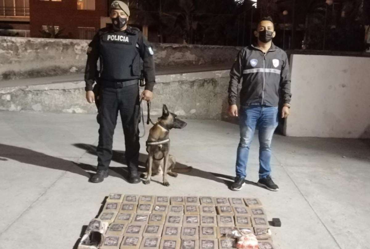 La droga tenía como destino Europa.