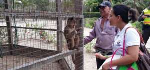 Espec&iacute;menes de fauna silvestre fueron encontrados en hacienda de Manab&iacute;