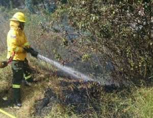Los bomberos realizaron un enfriamiento de una zona forestal en Santa Rosa de Chillogallo. Foto: Cortes&iacute;a