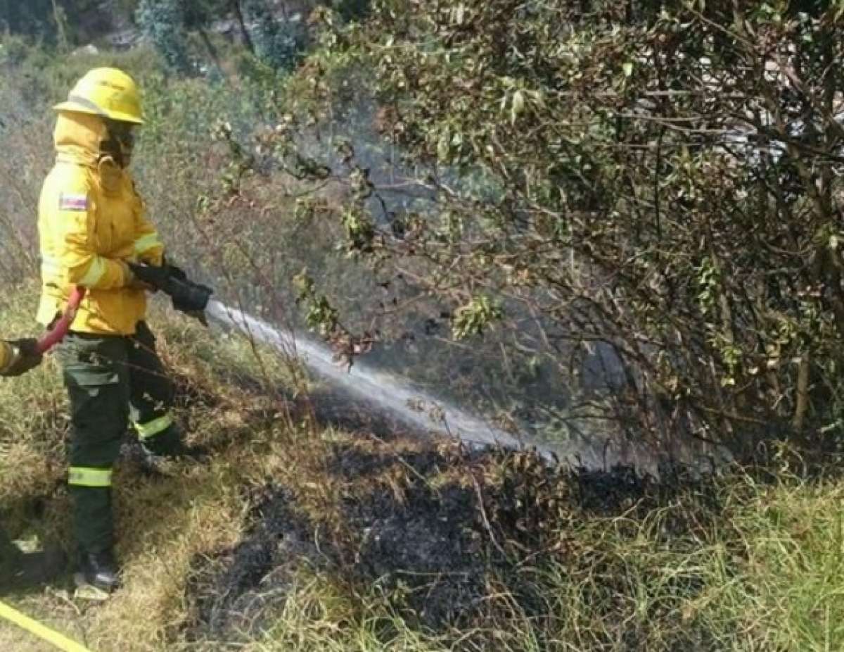 Los bomberos realizaron un enfriamiento de una zona forestal en Santa Rosa de Chillogallo. Foto: Cortes&iacute;a