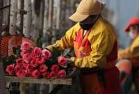 San Valentín: Este año se exportaron 28.779 toneladas de flores ecuatorianas