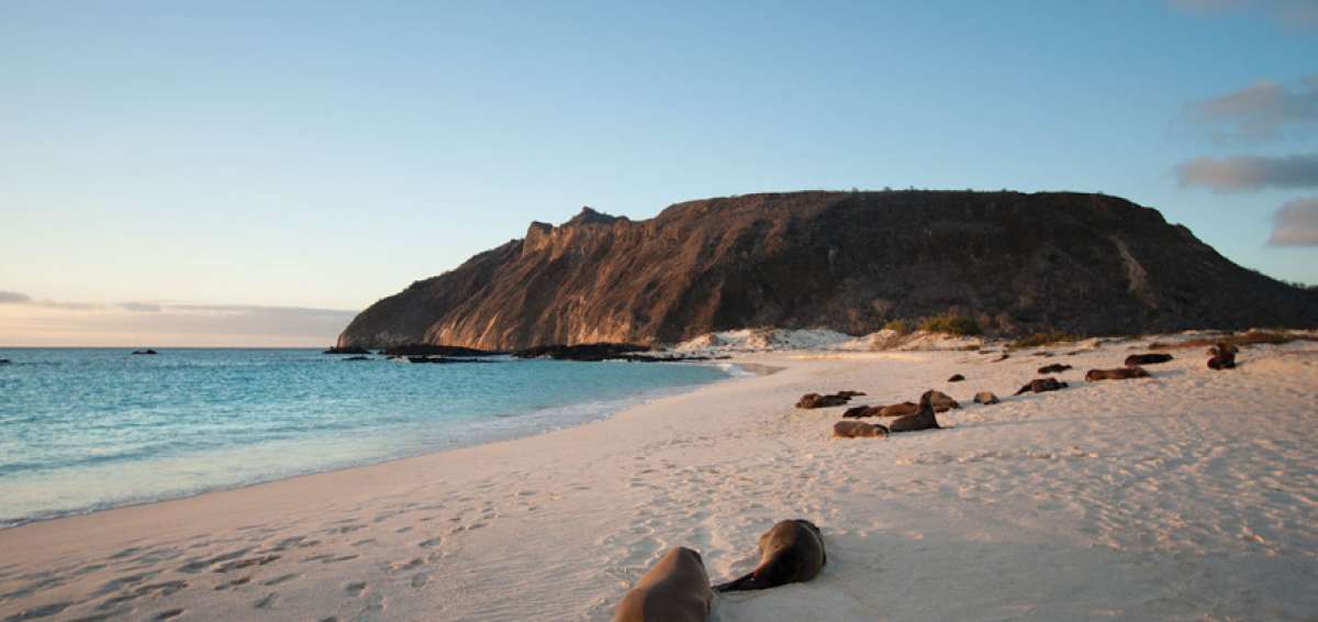 Ecuador celebra los 20 a&ntilde;os de creaci&oacute;n de la Reserva Marina de Gal&aacute;pagos