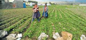 En Ecuador, as&iacute; como en gran parte del mundo, las mujeres se enfrentan a grandes brechas que las desfavorece en su desarrollo personal y laboral.