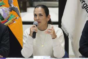 La ministra de Energía, Inés Manzano, detalló cómo se avanza con la apertura del Catastro Minero. 