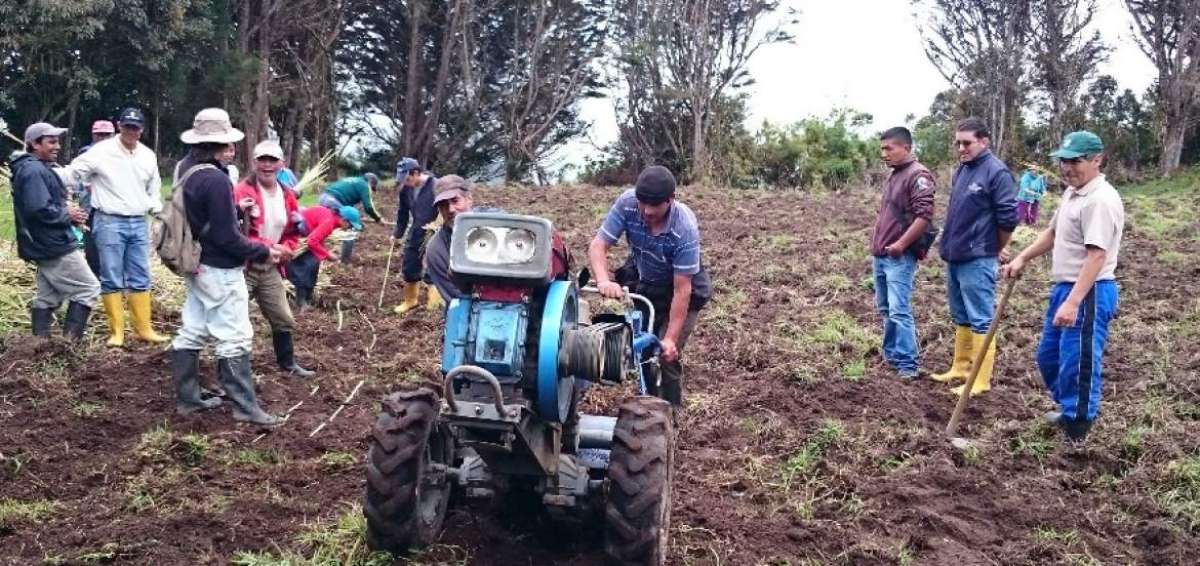 La implementaci&oacute;n de maquinarias disminuye los costos de mano de obra, tanto en siembra como en cosecha, y ahorra tiempo en la preparaci&oacute;n de los suelos.    