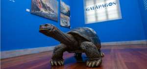 M&aacute;s de 10 mil personas visitaron exposici&oacute;n sobre las Islas Gal&aacute;pagos