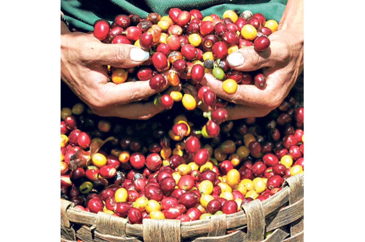 Con &eacute;xito finaliz&oacute; programa de desarrollo rural