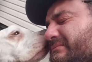 Bella, una pitbull, recibi&oacute; la eutanasia. Su due&ntilde;o la despidi&oacute;. 