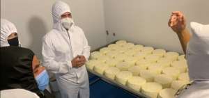 Empresa de Carchi inici&oacute; la exportaci&oacute;n de queso hacia Estados Unidos