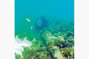 Unesco evaluar&aacute; si los restos hallados en Hait&iacute; son de la nave Santa Mar&iacute;a