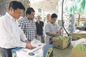 La meta del Gobierno, a trav&eacute;s de la UNA,  es lograr que la mayor cantidad de productores se una a este esquema de comercio. Foto: Cortes&iacute;a