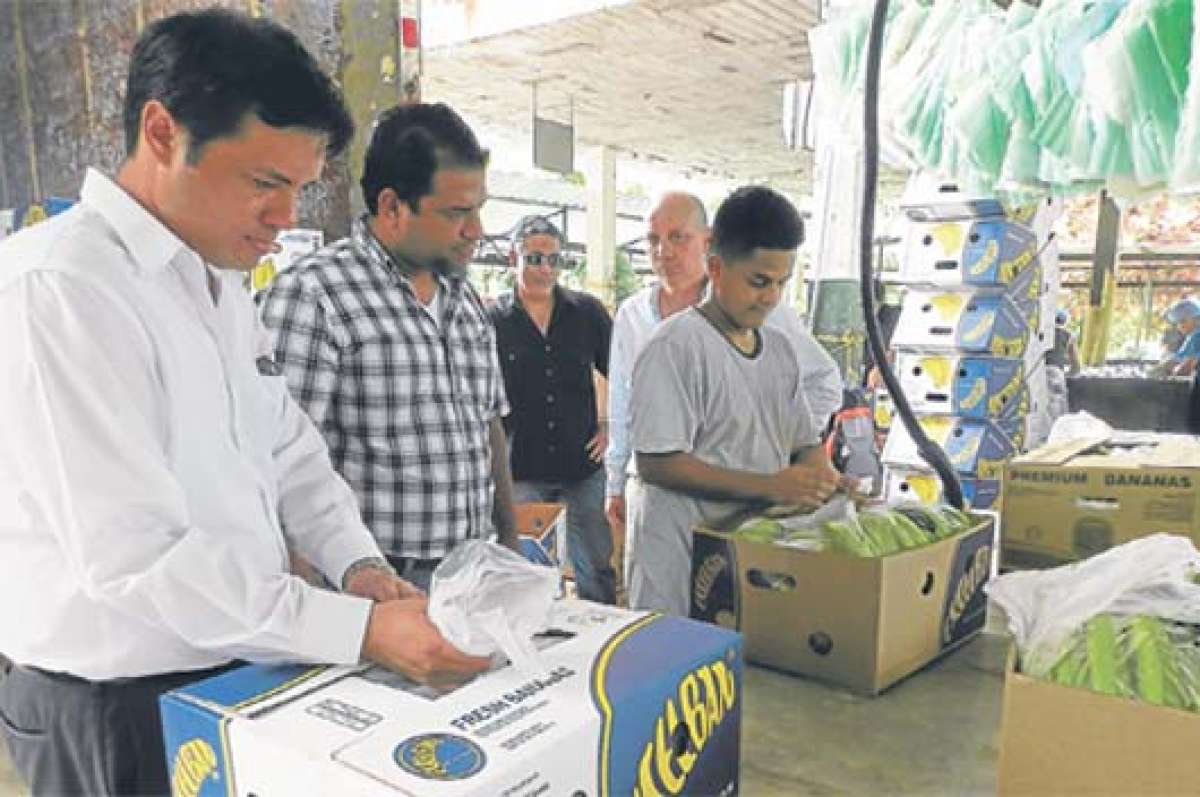 La meta del Gobierno, a trav&eacute;s de la UNA,  es lograr que la mayor cantidad de productores se una a este esquema de comercio. Foto: Cortes&iacute;a