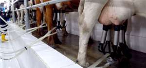 Los ganaderos buscan el incremento de la ingesta de leche y derivados para dinamizar el sector. La apertura de mercados extranjeros es una opci&oacute;n.