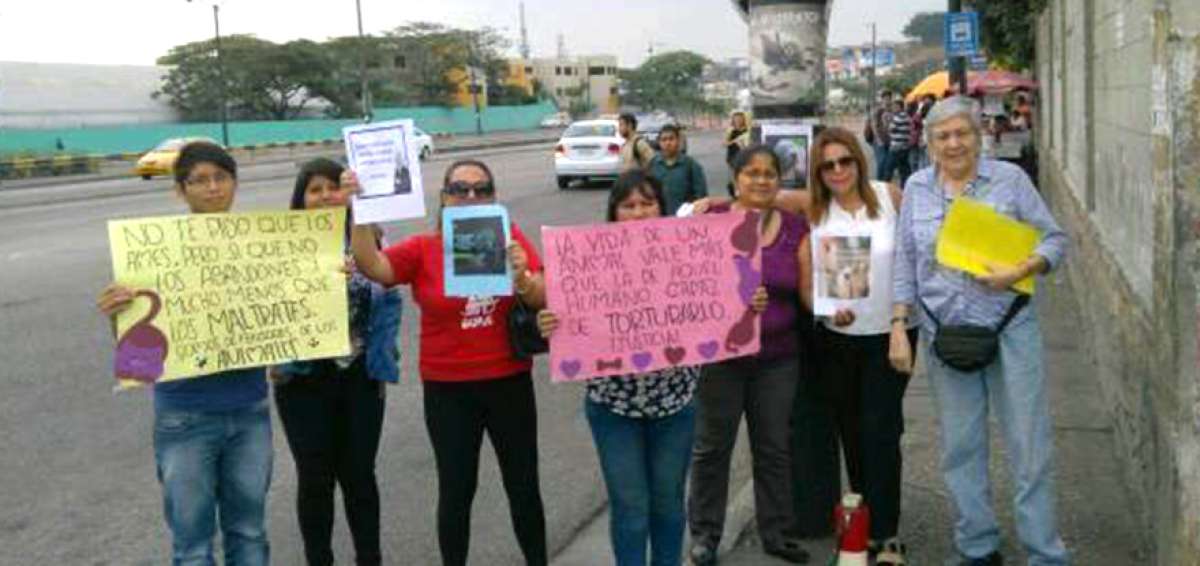 TEA, dos d&eacute;cadas de lucha contra el maltrato animal