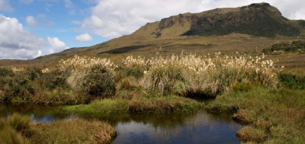 El Parque Nacional Llanganates tiene una extensi&oacute;n de 219.931 hect&aacute;reas. 