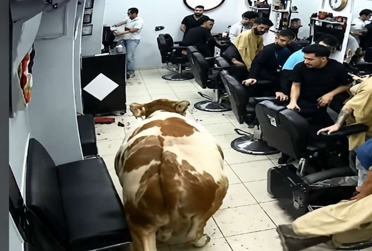 El toro les dio un gran susto.