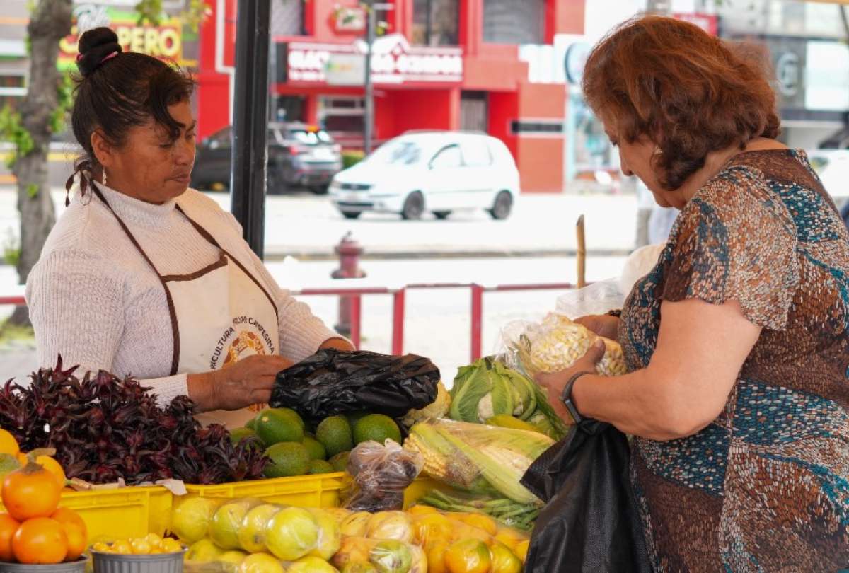 Productores de la agricultura familiar ofrecen alimentos directamente a los consumidores.