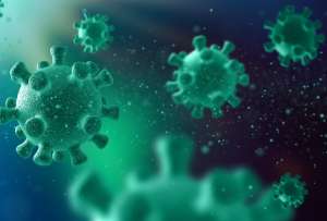 Los pacientes fueron ingresados en un hospital de Mil&aacute;n especializado en enfermedades infecciosas de alto riesgo.