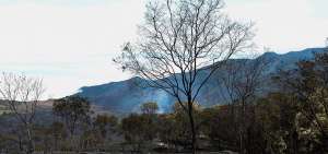 El fuego redujo a cenizas la vegetaci&oacute;n en la parroquia Molleturo que forma parte del Macizo de El Cajas. Muchas aves y animales se perdieron.
