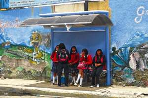 Las nuevas paradas le otorgan protecci&oacute;n a los estudiantes del Sol y de la lluvia. El Cabildo espera que los ciudadanos las cuiden. Foto: Jos&eacute; Miguel Castillo 