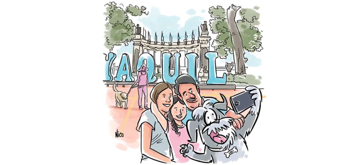 Amigable con las mascotas