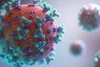 Dos pacientes presentan una infección combinada de coronavirus en Israel
