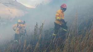 Agentes del Cuerpo de Bomberos, durante el control del fuego en una zona verde de Chavezpamba. Foto: Cortes&iacute;a