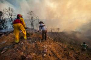 El incendio forestal en el cerro Ilal&oacute;, en Quito, fue controlado ayer. Las autoridades estiman que el flagelo fue provocado. Foto:  John Guevara / El Tel&eacute;grafo.