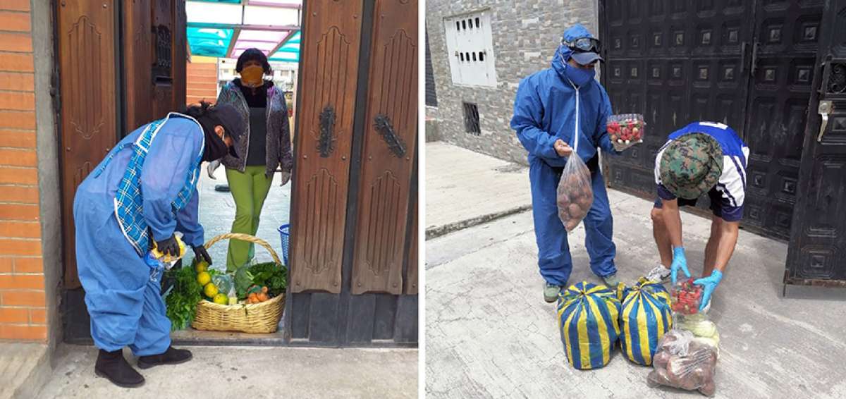 Quingeo forma una red para llevar alimentos frescos a zonas urbanas