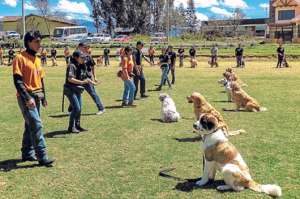 Los participantes tuvieron la oportunidad de entrenar a sus propias mascotas bajo la supervisi&oacute;n de los miembros del Grupo de Operaciones Especiales (GOE). Foto: Cortes&iacute;a