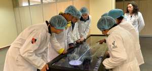 La carrera de Medicina es la m&aacute;s demandada. As&iacute; lo demuestran estudiantes de la Universidad T&eacute;cnica de Ambato.