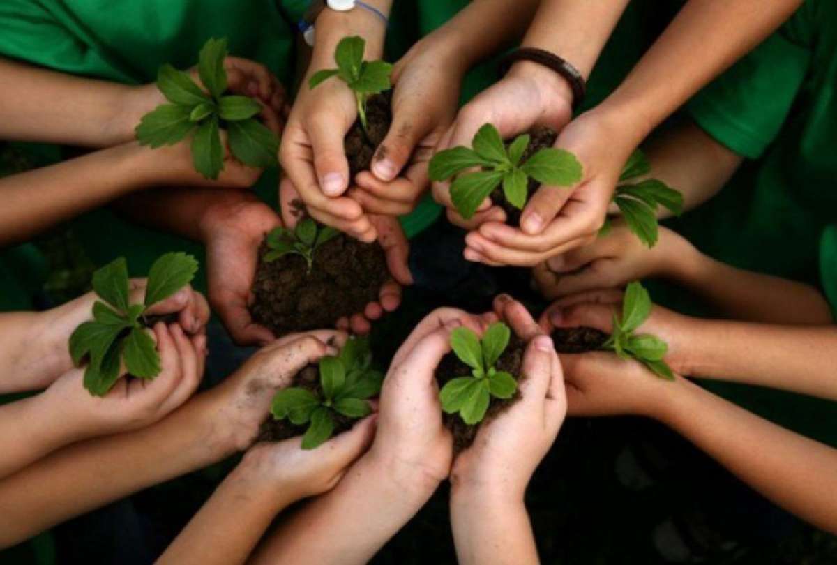 La tercera edici&oacute;n de Siembrat&oacute;n plantea sembrar 300 mil &aacute;rboles hasta finales del 2021