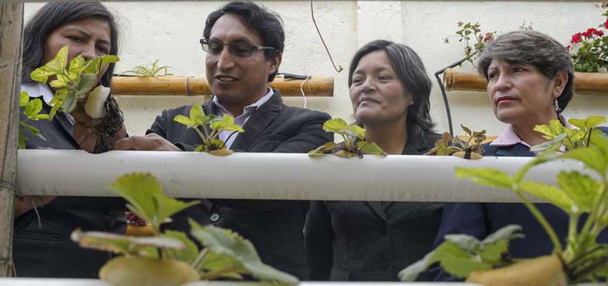 El proyecto hidrop&oacute;nico funciona desde hace dos a&ntilde;os como parte de la programaci&oacute;n institucional. Se han cultivado tomates y lechugas.